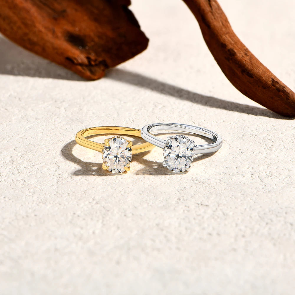 S7c2a51a1306d40da8b272b5e78cacf67P